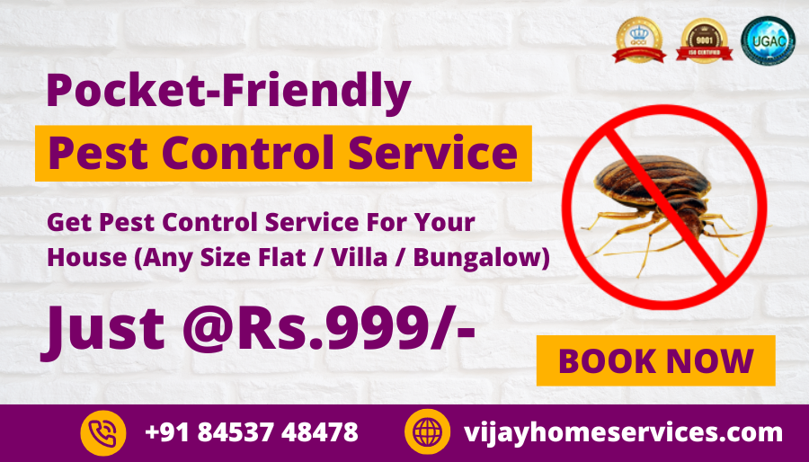 General Pest Control Services In Bangalore | Certified Pest Control ...